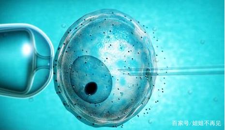 专业同性供卵助孕收费标准